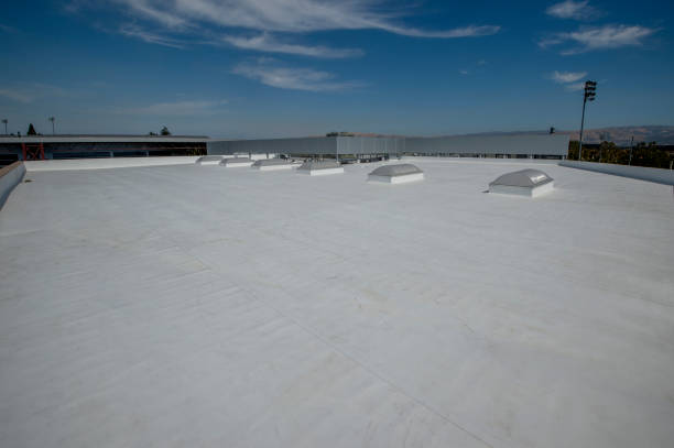 Best Solar Panel Roofing Installation  in Tyro, NC
