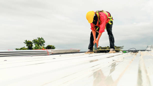 Best Cold Roofs  in Tyro, NC