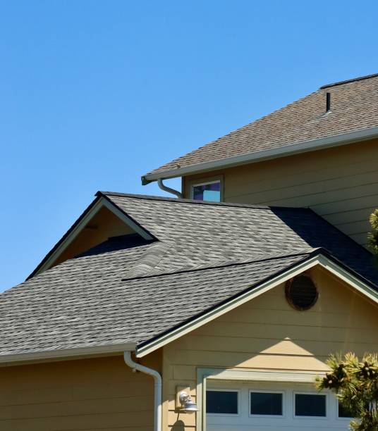 Best Skylight Installation and Repair  in Tyro, NC
